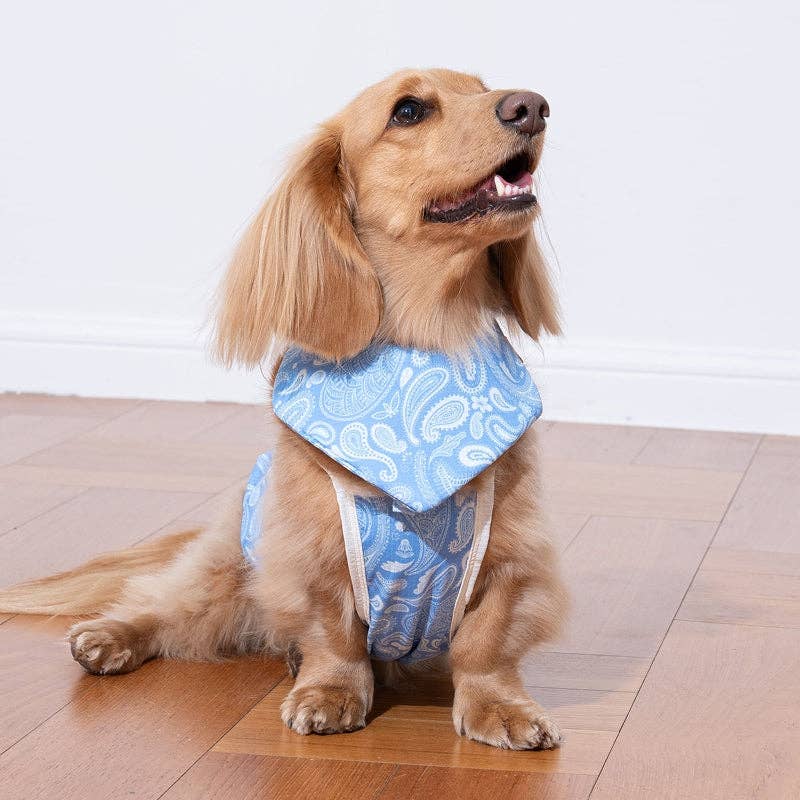 Bandana rafraîchissant Paisley Lover pour chien - Puppy Gallery