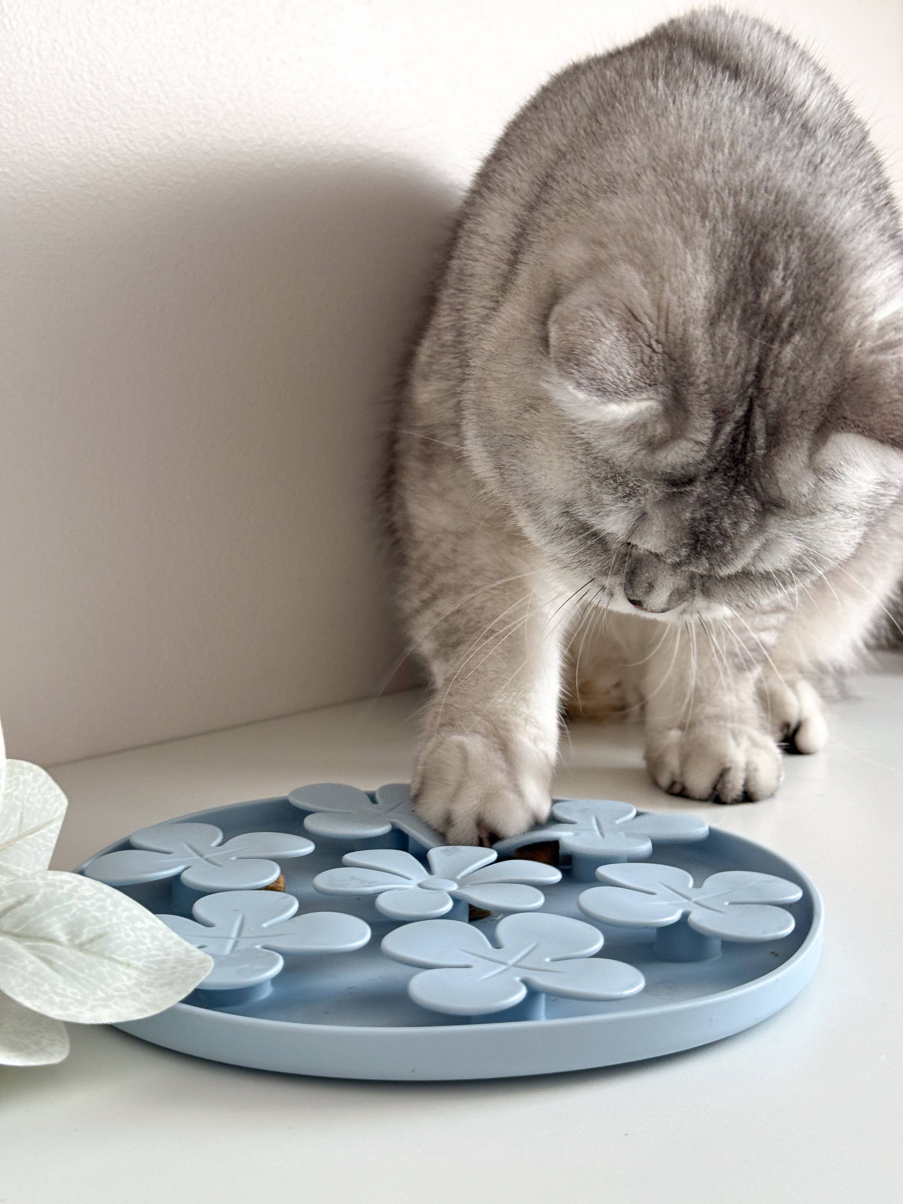 Fleurs de tapis de léchage pour chiens et chats