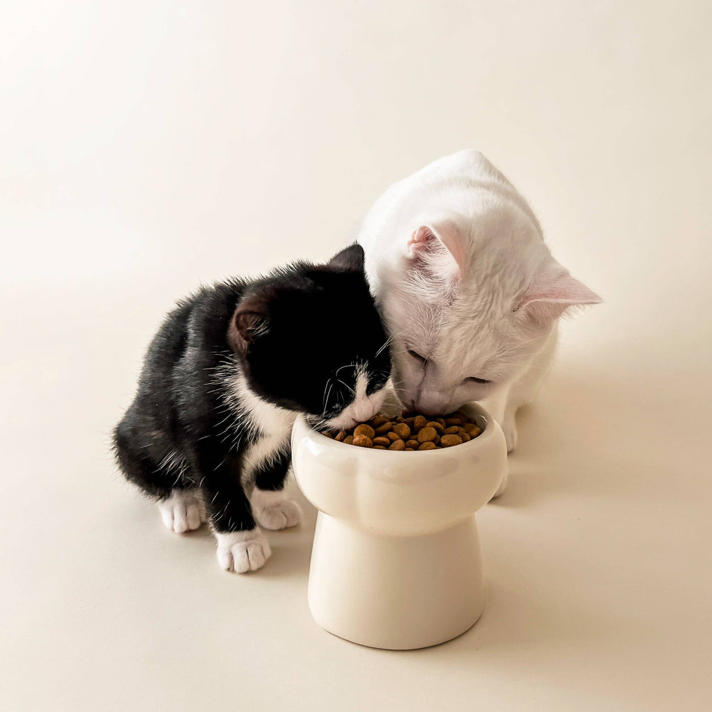 Bol surélevé en céramique