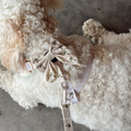 Nœud papillon Sailor Palm Springs – Cocopup London
