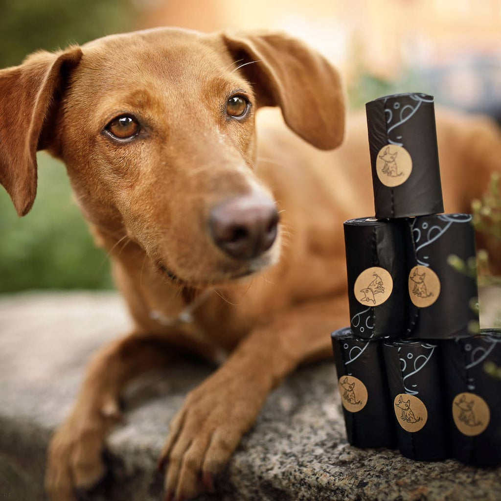 Sacs à crottes de chien biodégradables