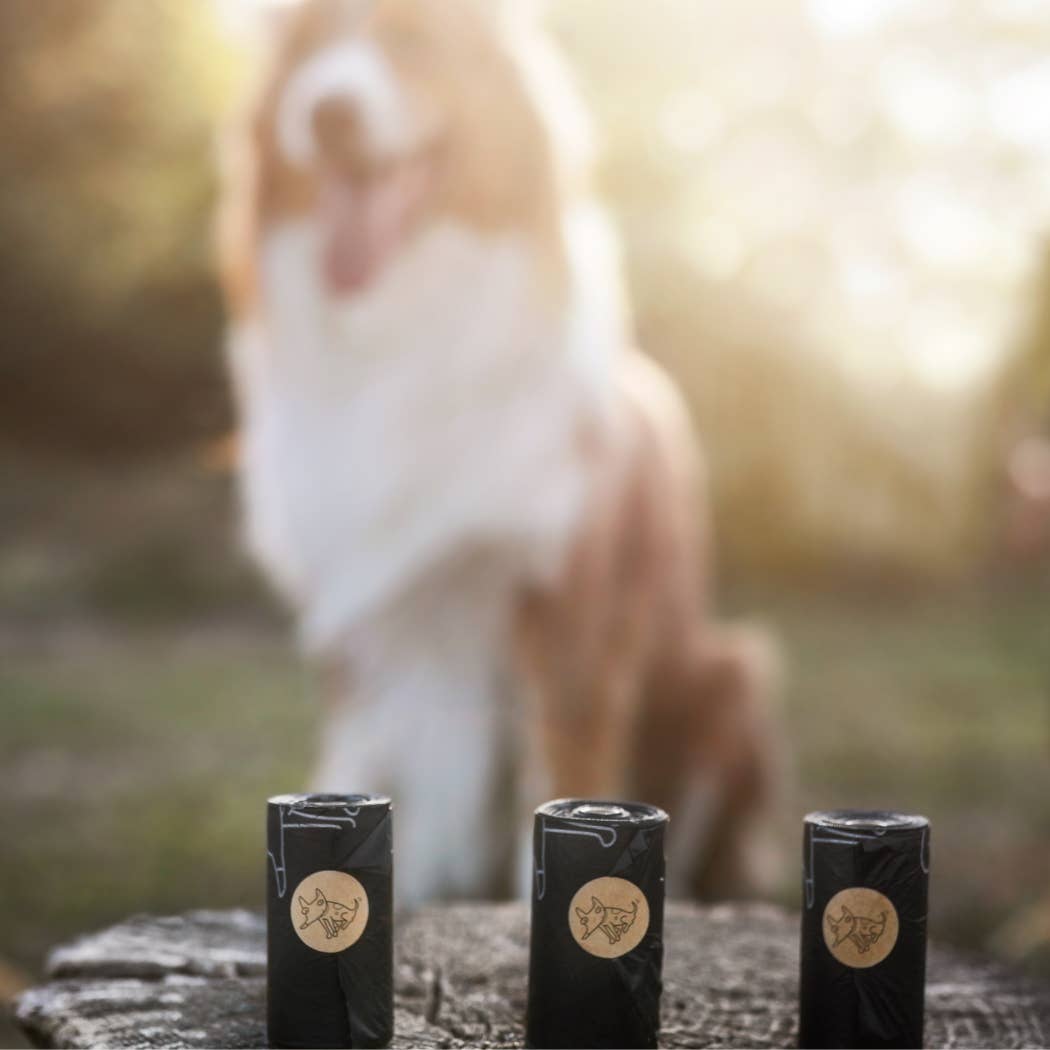 Sacs à crottes de chien biodégradables