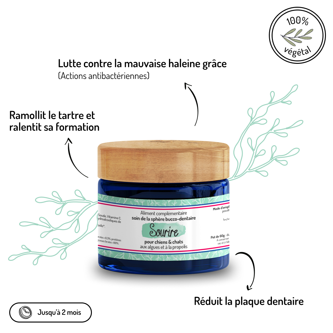 Anti-tartre et bonne haleine – Complément alimentaire