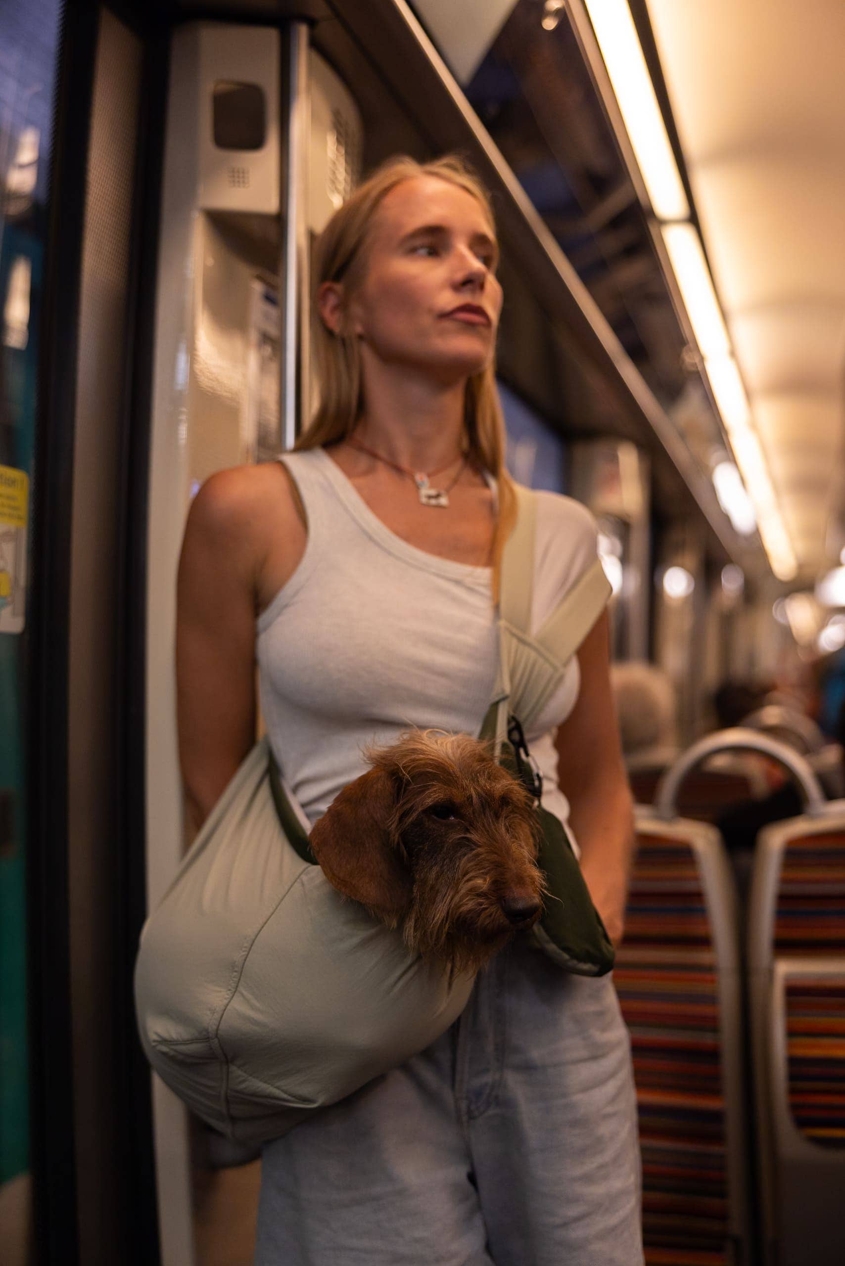 Sac de Transport pour Chien & Chat Weloca – Version Été
