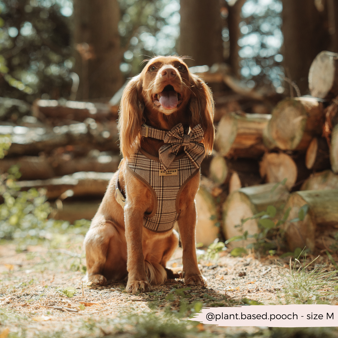 Collier Check Pup Tweed Brun – Cocopup London