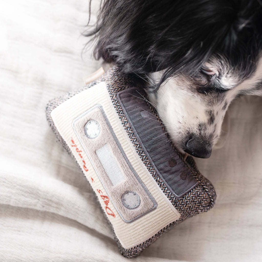 Jouet pour chien CASSETTE - Fouille
