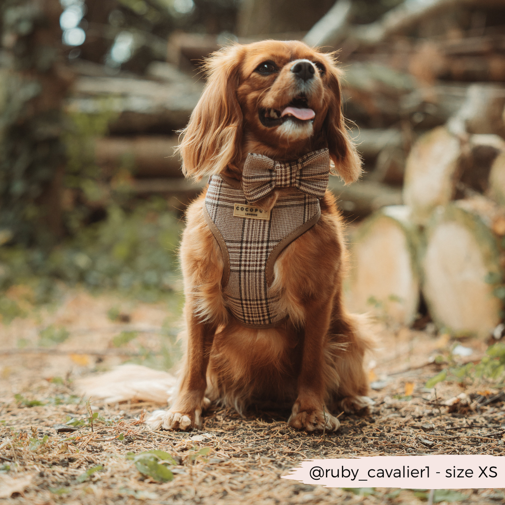 Nœud papillon Check Pup Tweed Brun – Cocopup London
