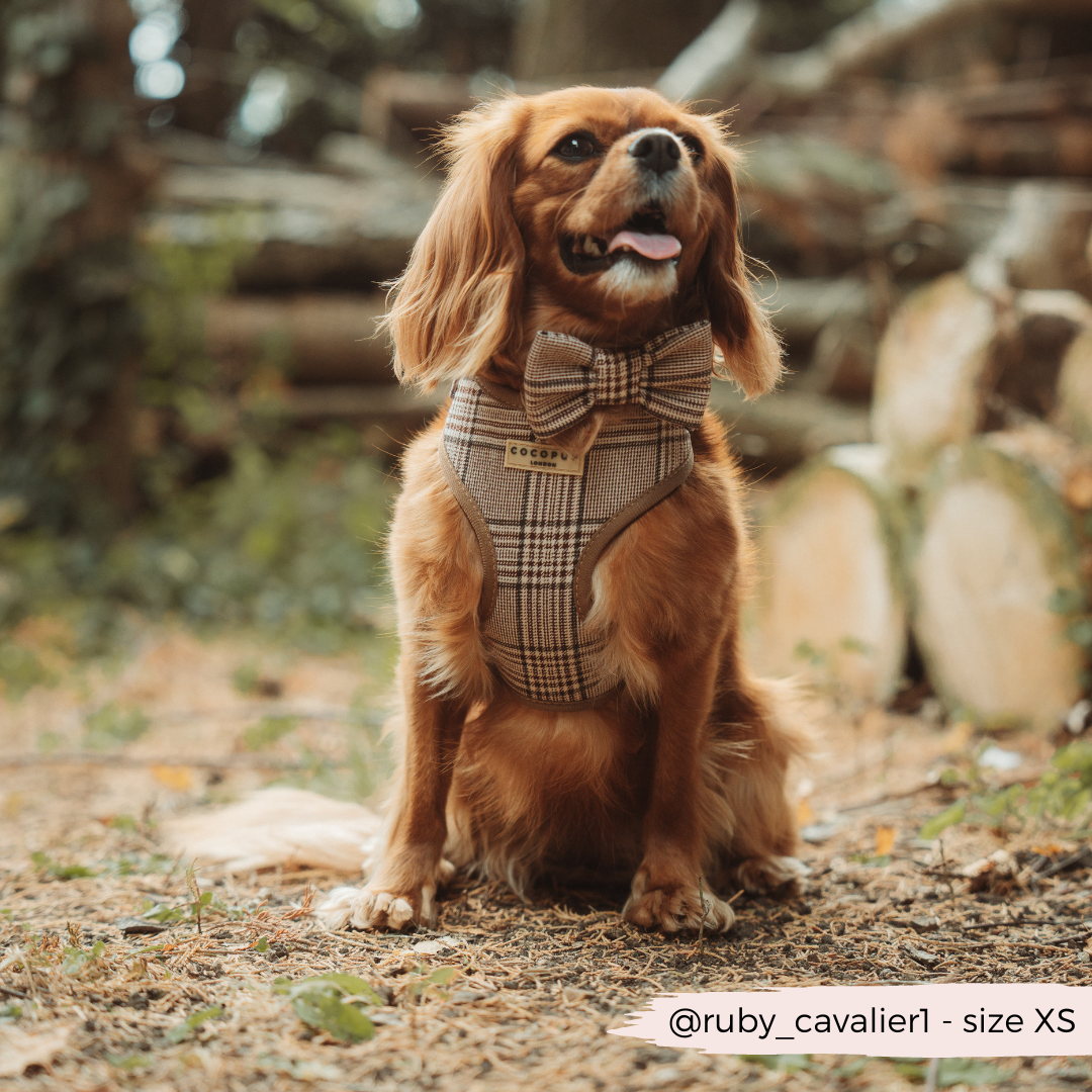 Nœud papillon Check Pup Tweed Brun – Cocopup London