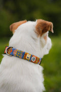 Collier pour chien Nightless Night recyclé (RPET)
