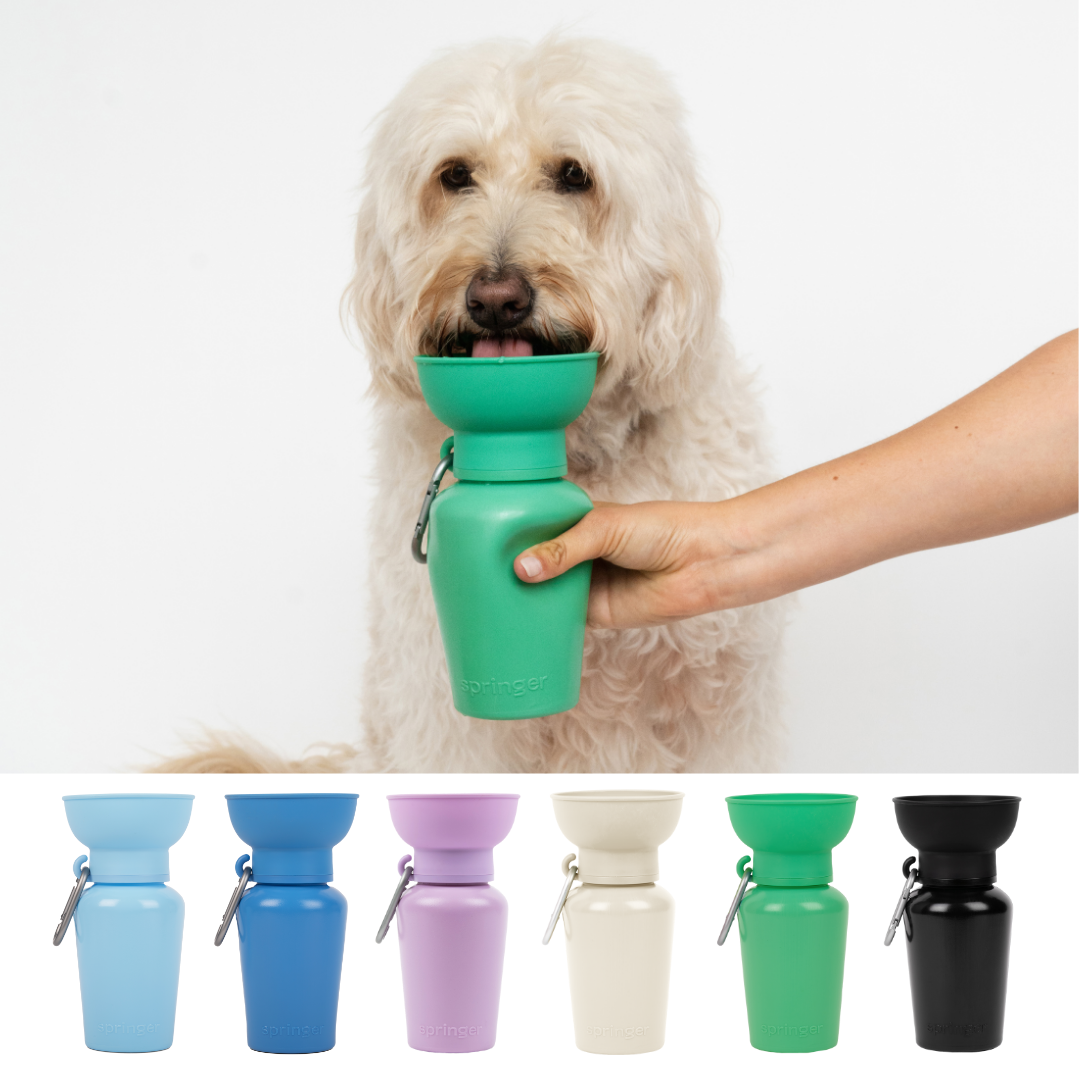 Gourde Portable Springland Pets — 591 ml