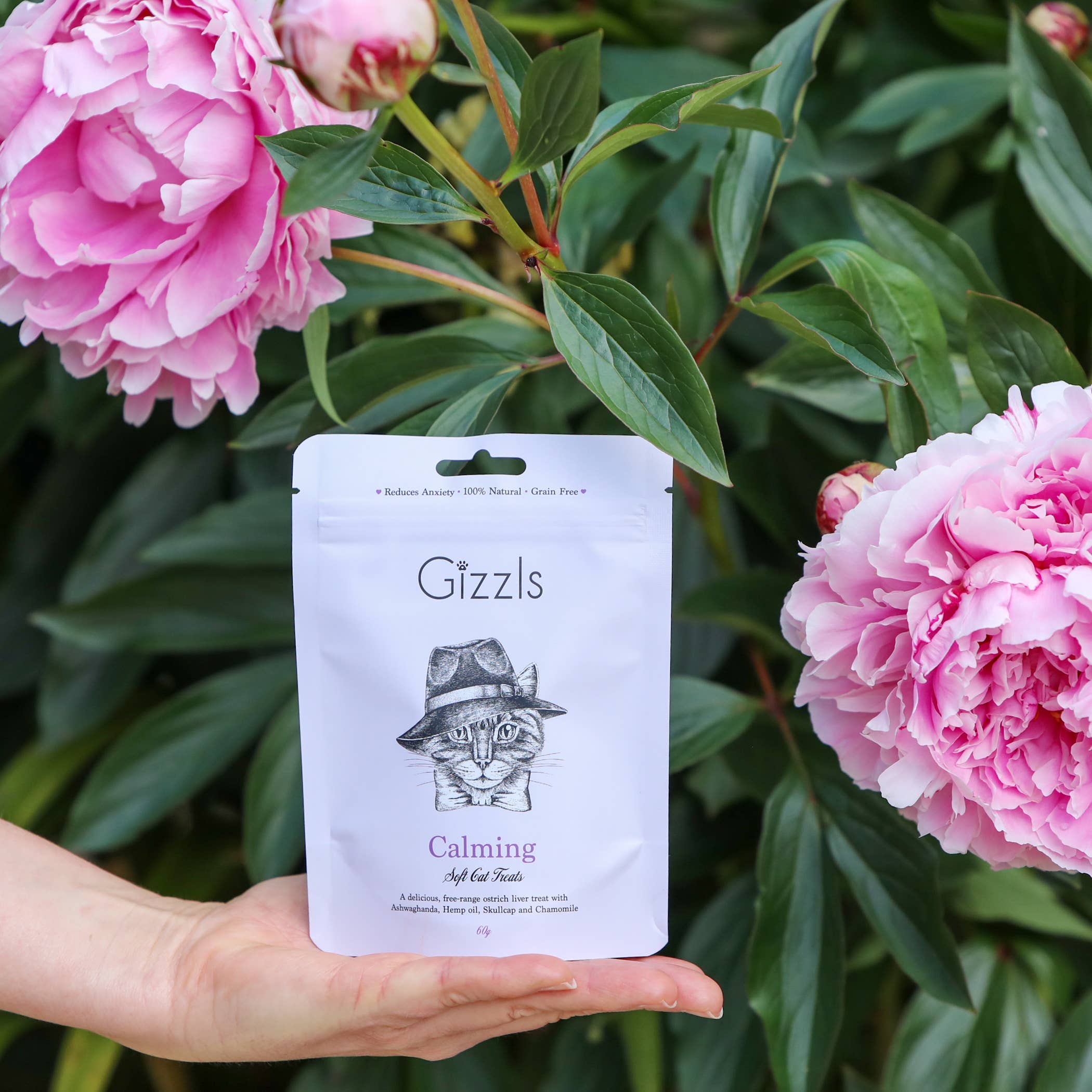 Friandises douces et apaisantes pour chats