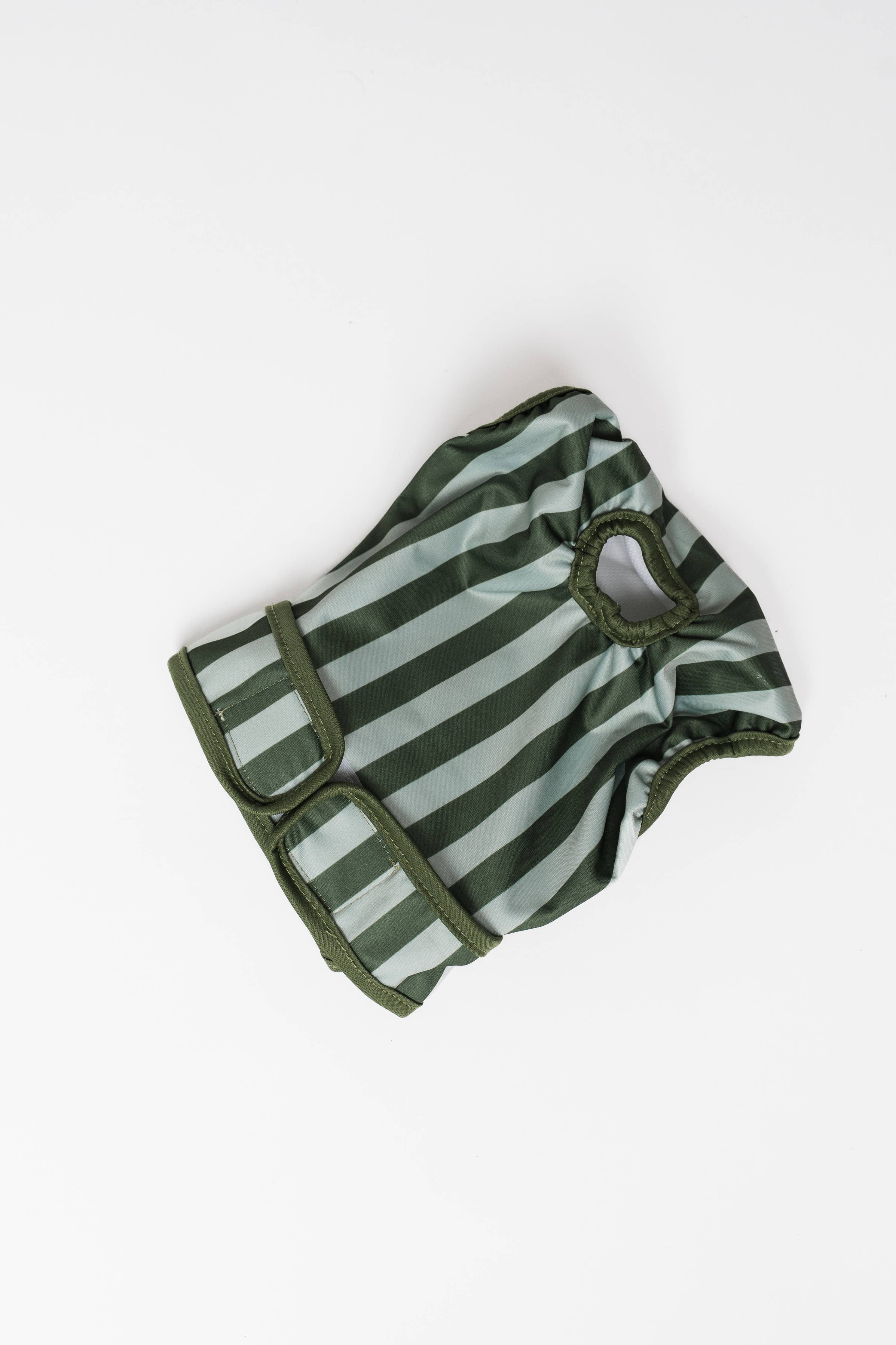 Culottes menstruelles pour chien à rayures: Moyenne