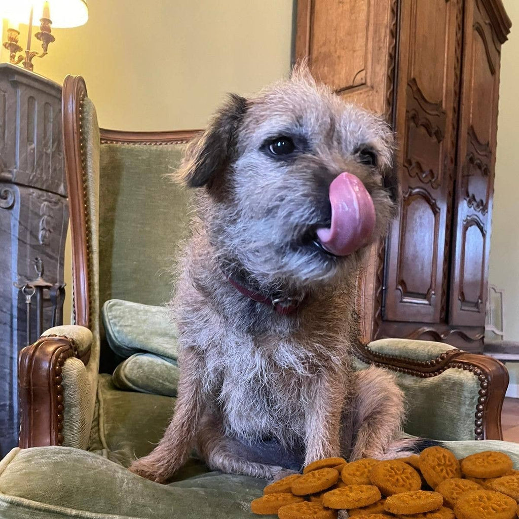 SCRAPS BISCUITS BIO - TOMATES ET FROMAGE