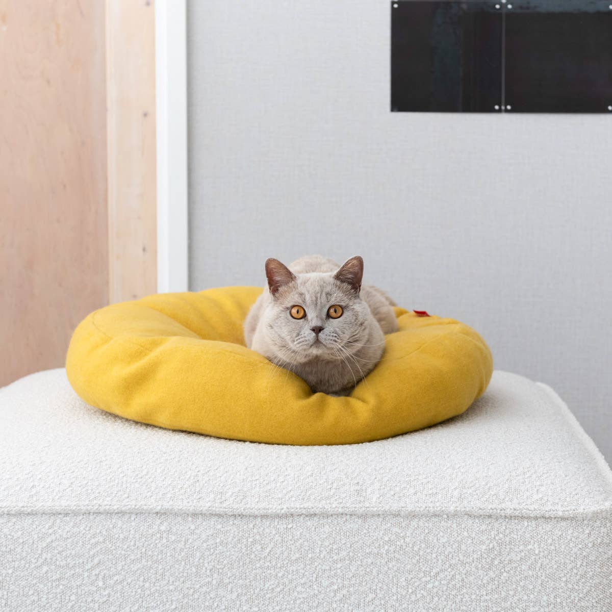 Lit Donut pour chat