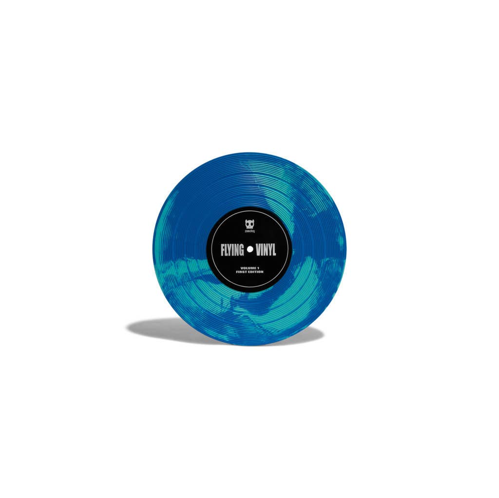 FRISBEE EN VINYLE BLEU