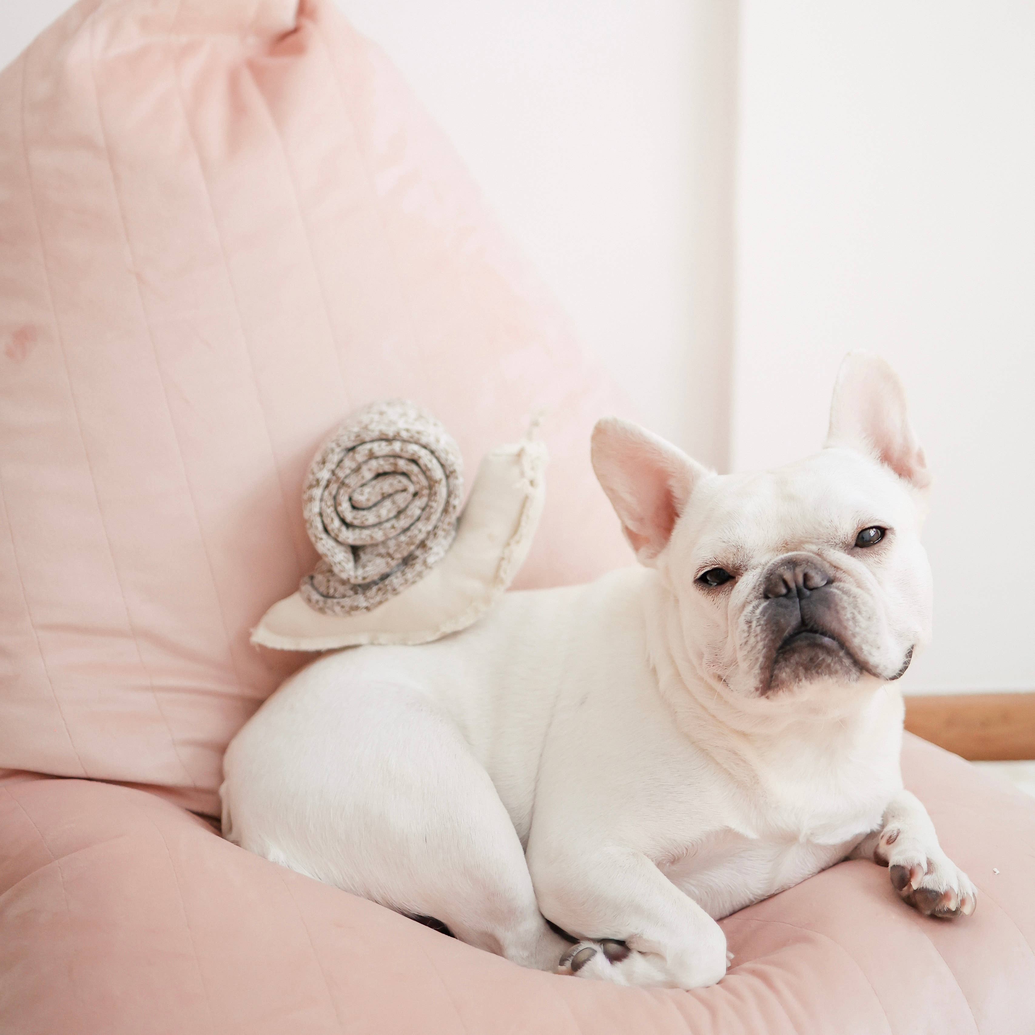 Jouet pour chien ESCARGOT - Fouille