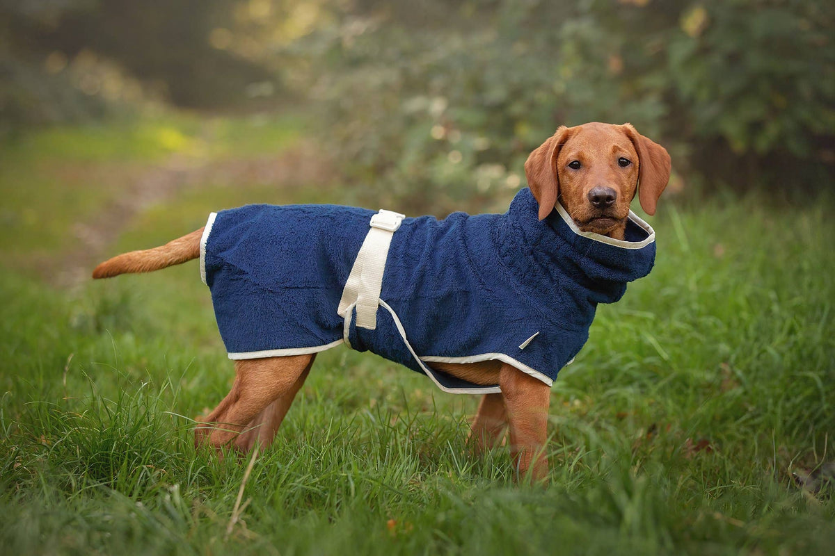 Peignoir de bain pour chien Dog Wellness – Indigo