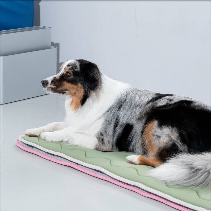 Tapis Rafraîchissant Mémoire de Forme Cool Wave – Puppy Gallery | Coloris Kaki - chiens et chats