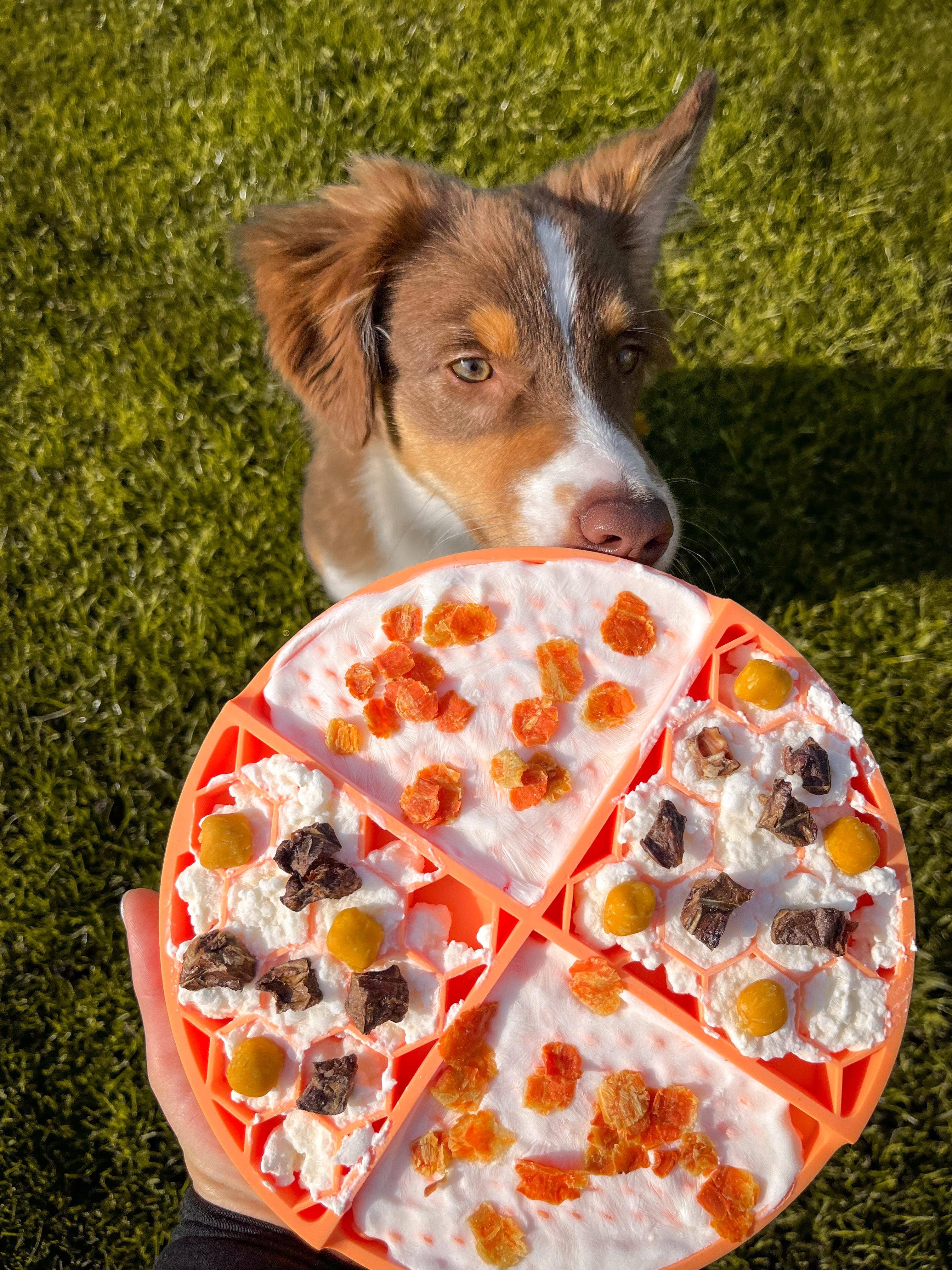 Tapis de léchage Honey chien et chat
