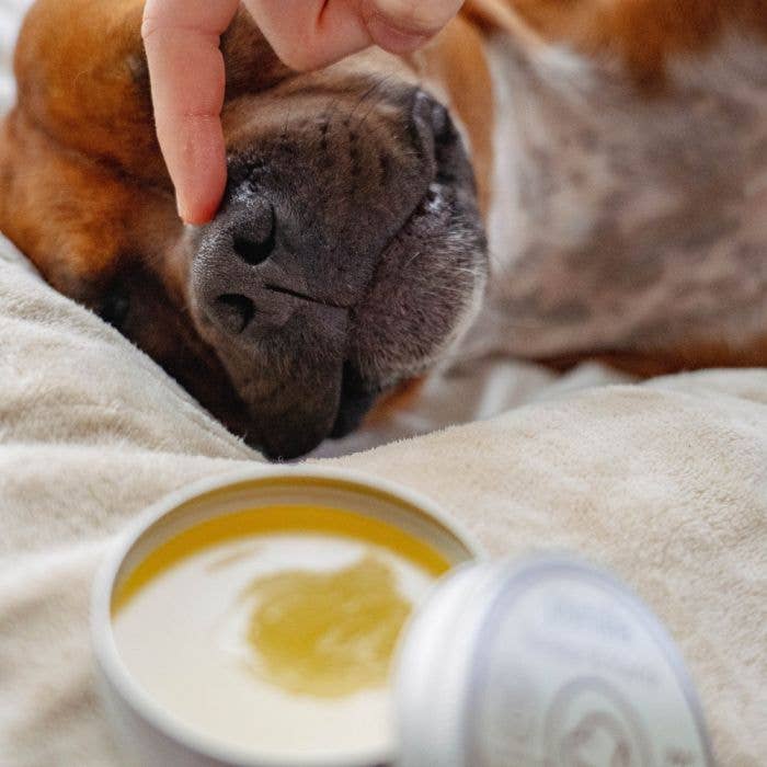 Baume truffe et coussinets 50 ml