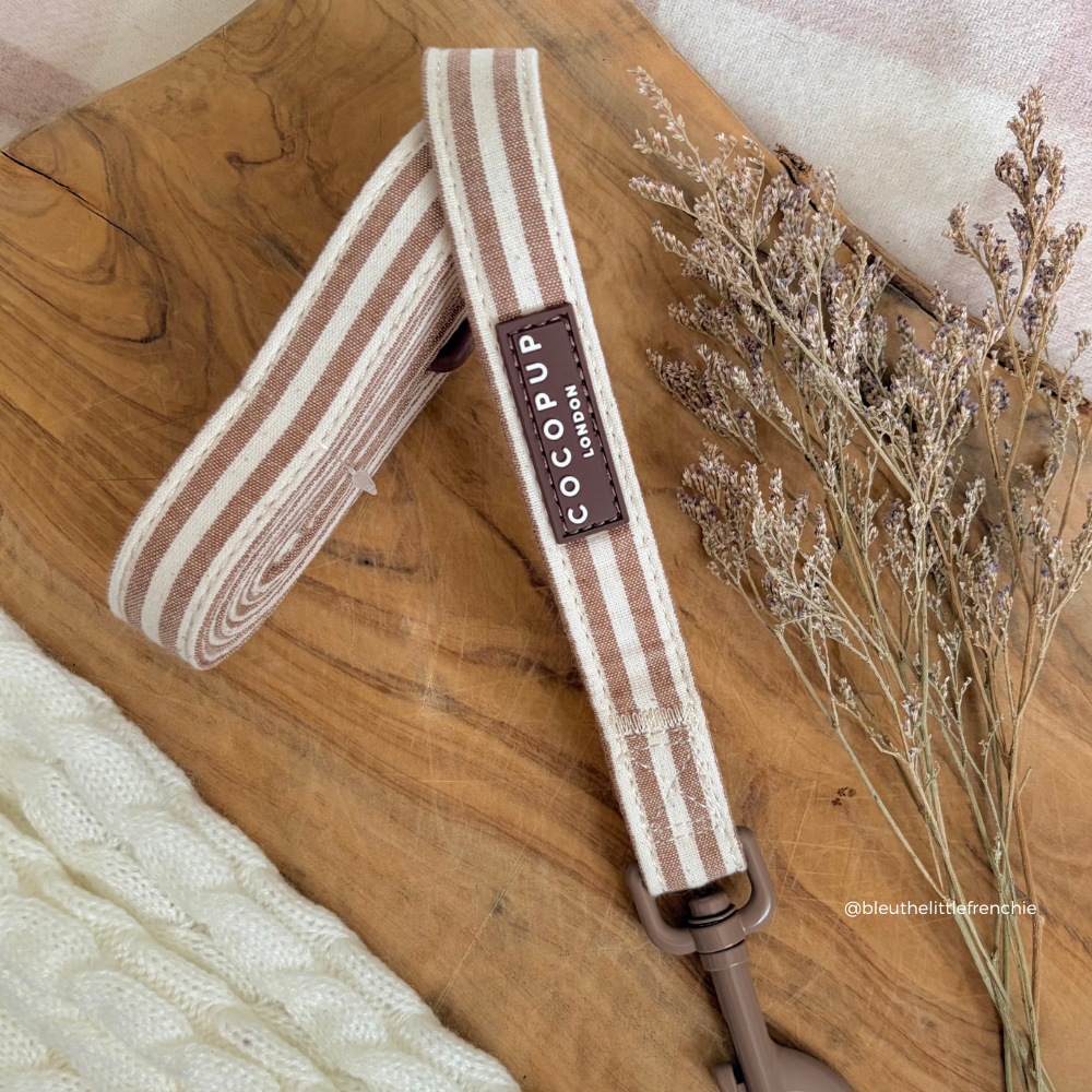Laisse London Linen Taupe – Cocopup London