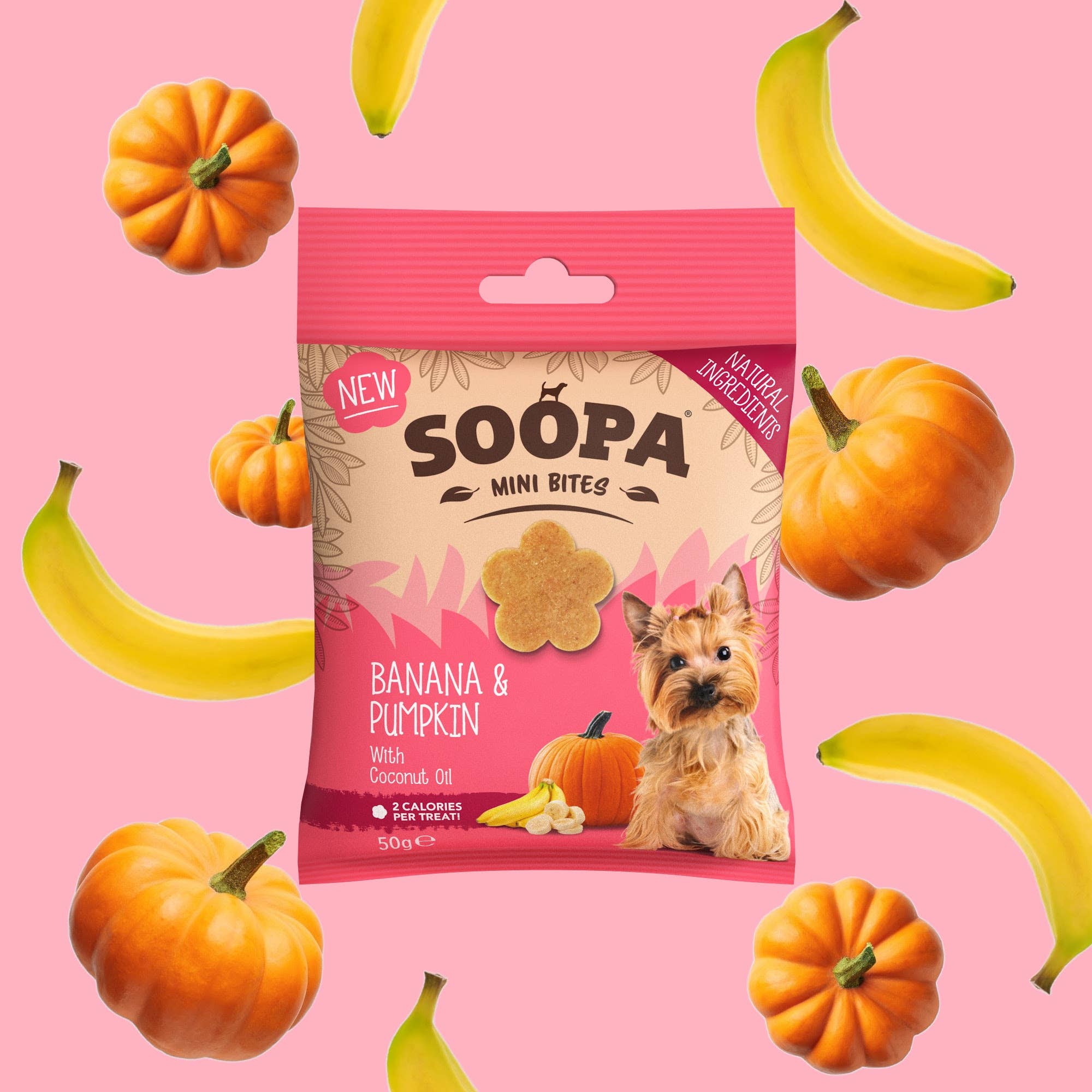 Friandises pour chiens Banane & Citrouille