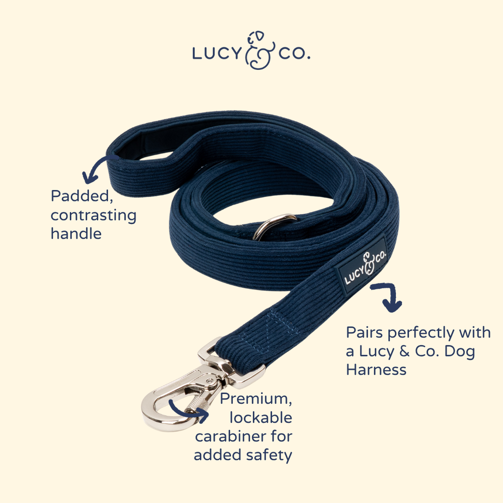 Laisse Appley Ever After – Lucy & Co - Automne