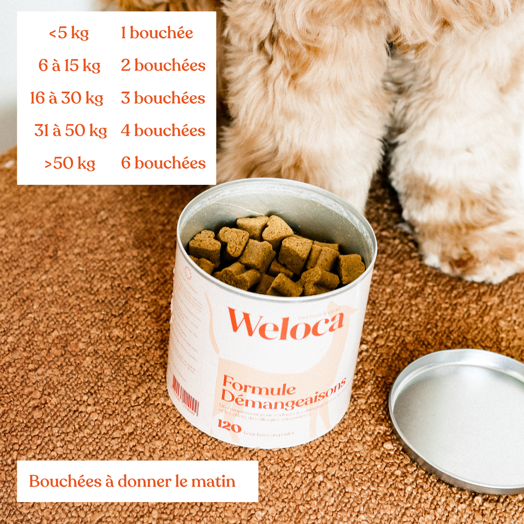 Weloca – Complément Démangeaisons pour chien (120 bouchées)