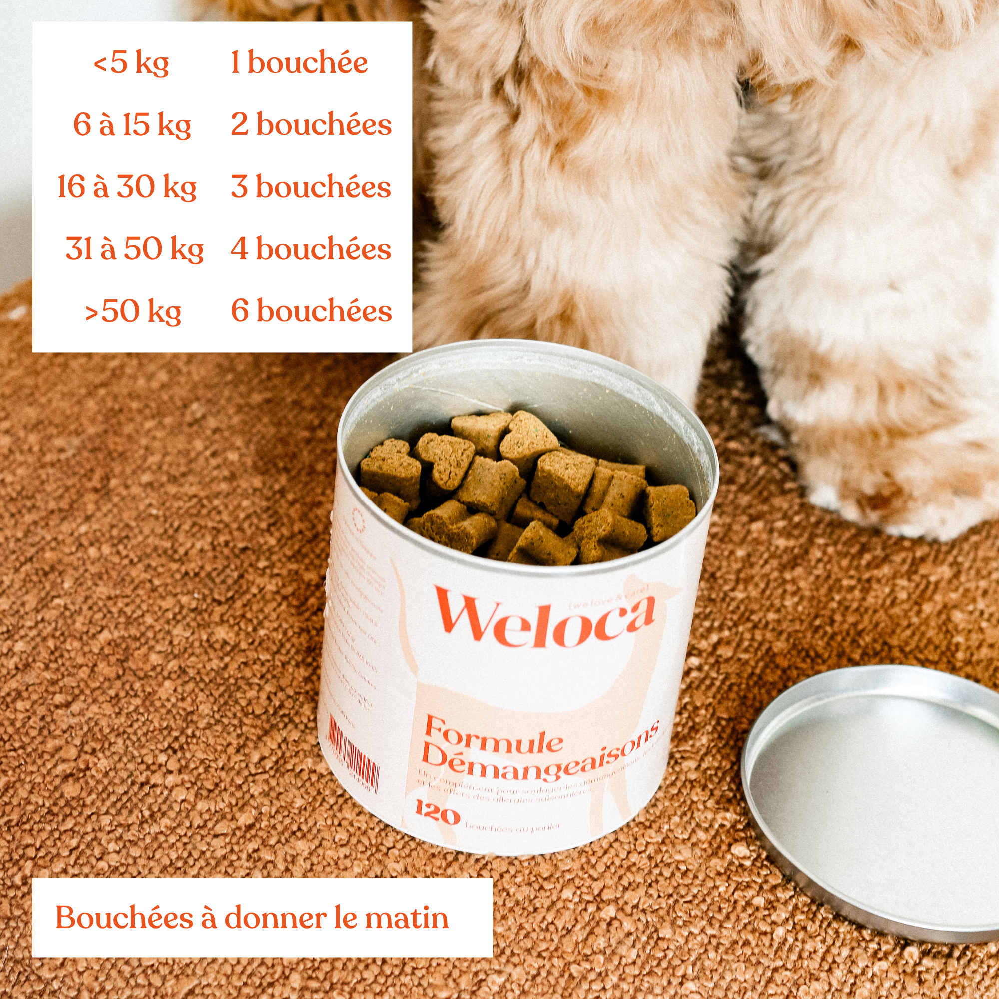 Weloca – Complément Démangeaisons pour chien (120 bouchées)