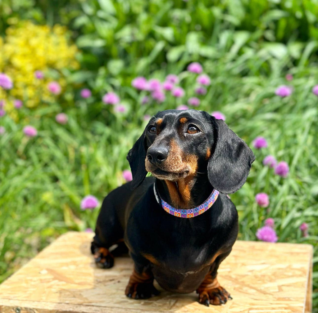 Collier Flower Power