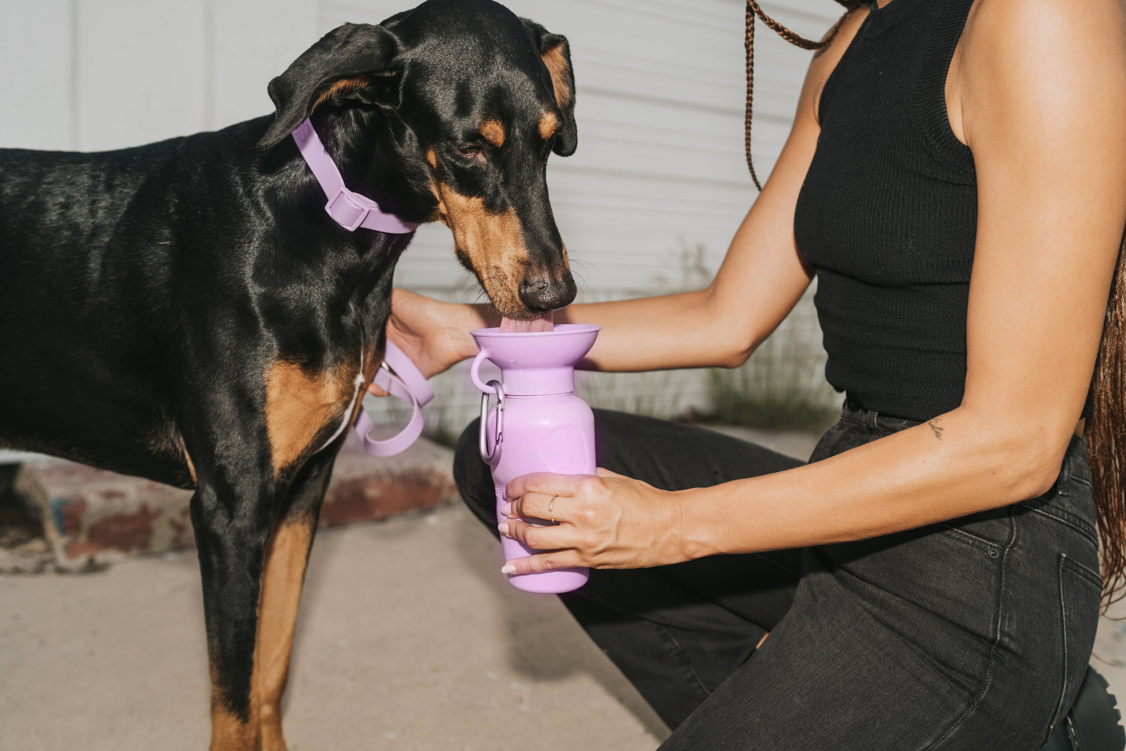 Springer Pet - Gourde 650ml