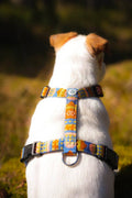 Harnais pour chien Nightless Night recyclé (RPET)