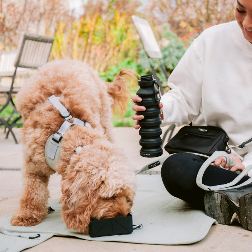 Bol de voyage pliable - Noir