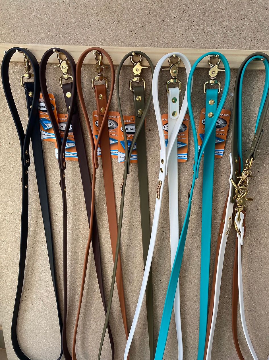 Laisse en BioThane® 1,50 m – Waterproof & ultra résistante - Kaliska