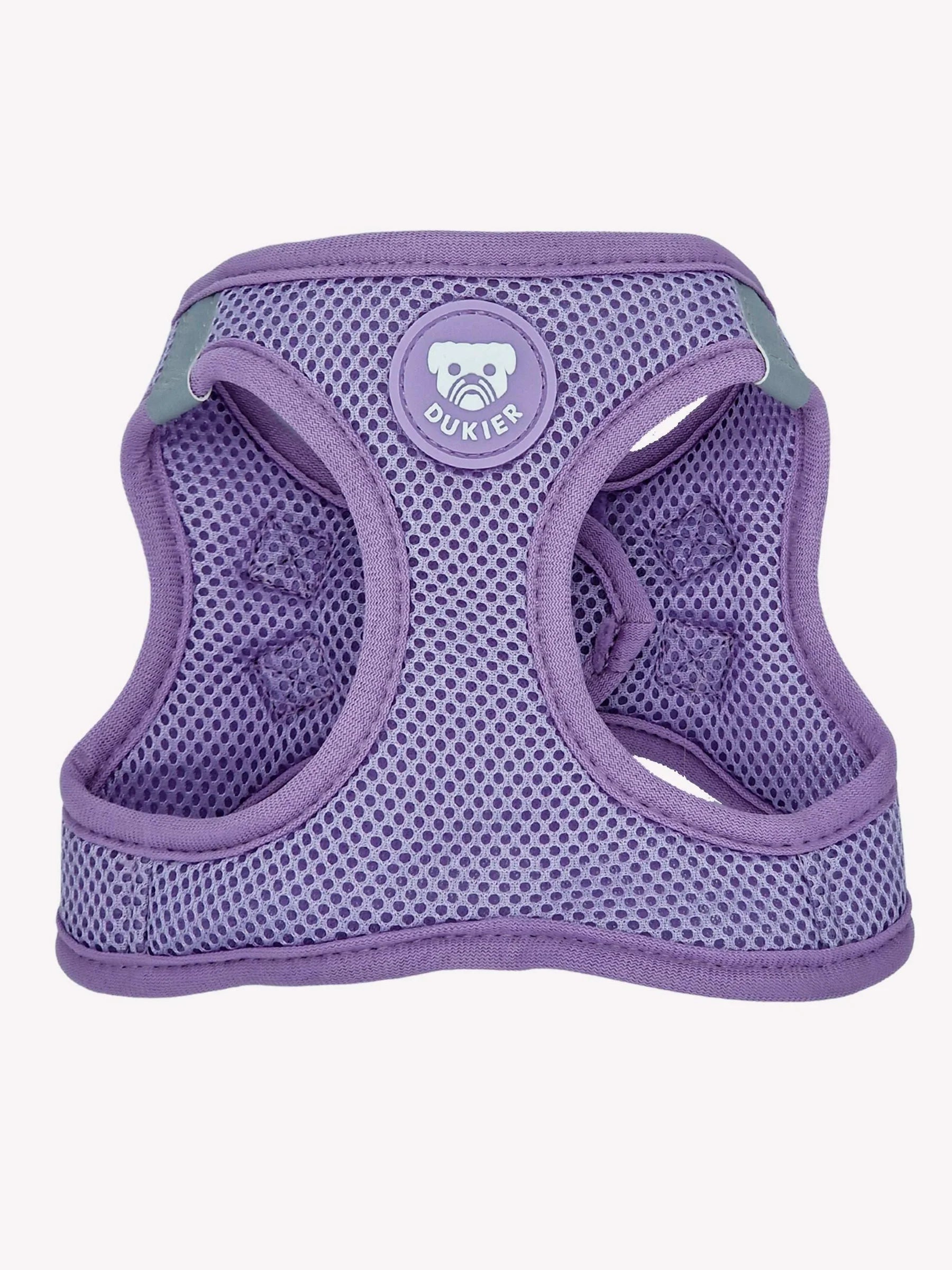 Dukier — Harnais Body Violet