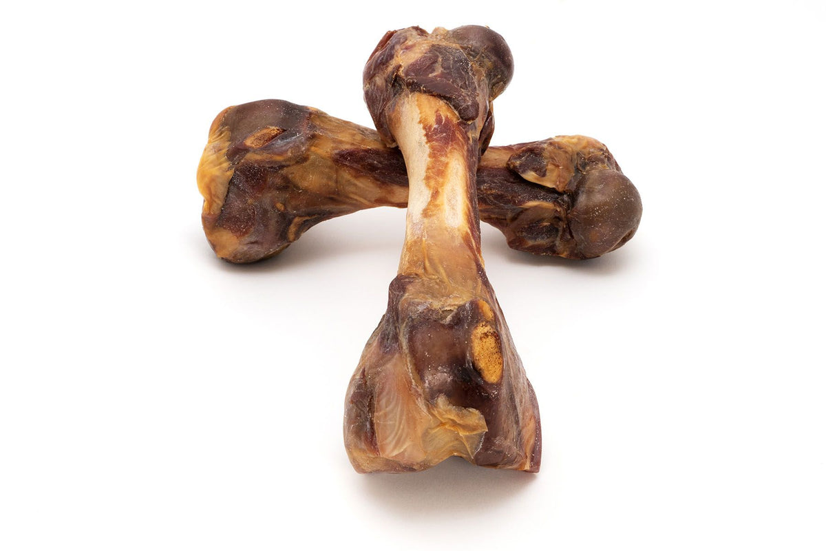 Os de jambon pour chien – Gloria – À l’unité