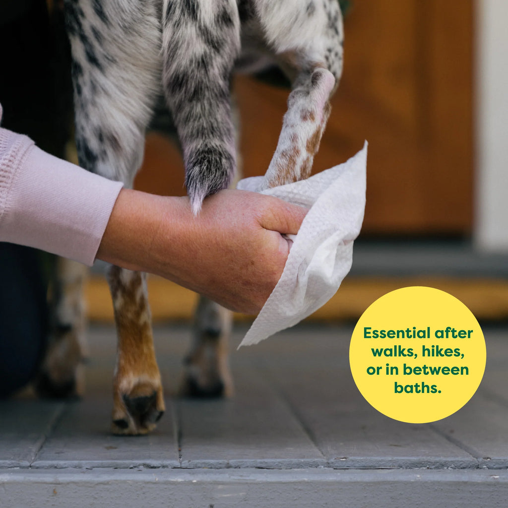 Lingettes de toilettage texturées pour chiens