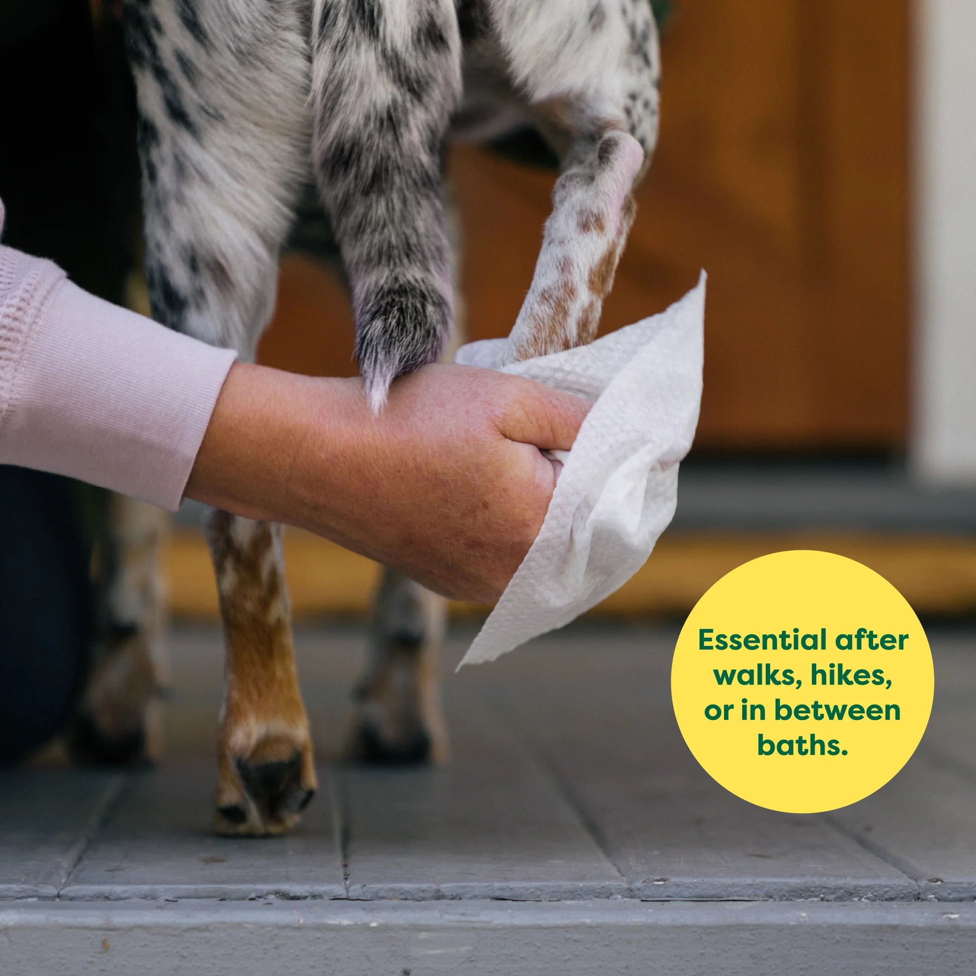 Lingettes de toilettage texturées pour chiens
