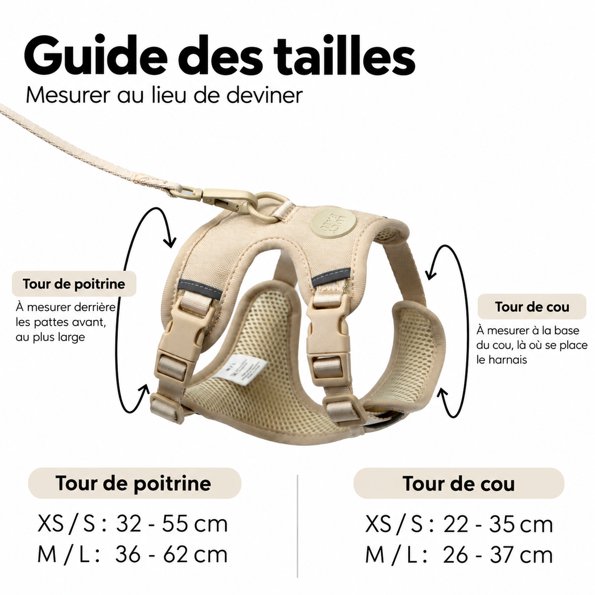 LucyBalu — Harnais Explorer avec laisse pour Chat 1,5 m