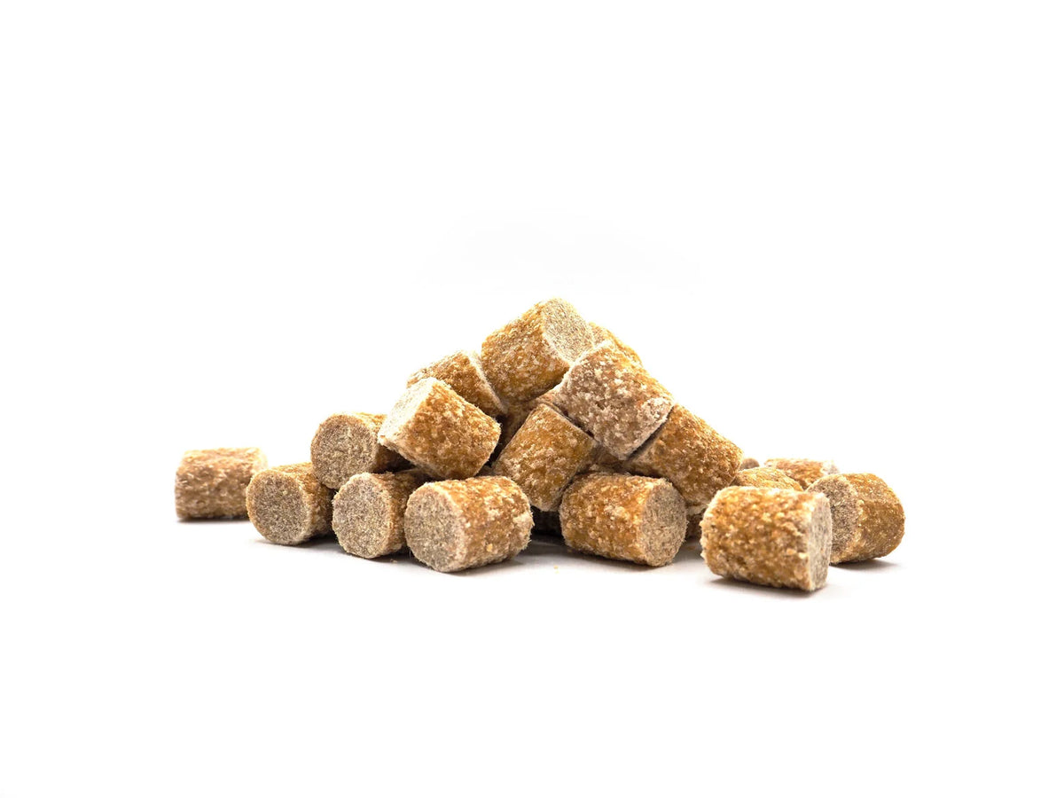 Coco Oat Bites – Friandises Végétariennes pour Chien – 150 g