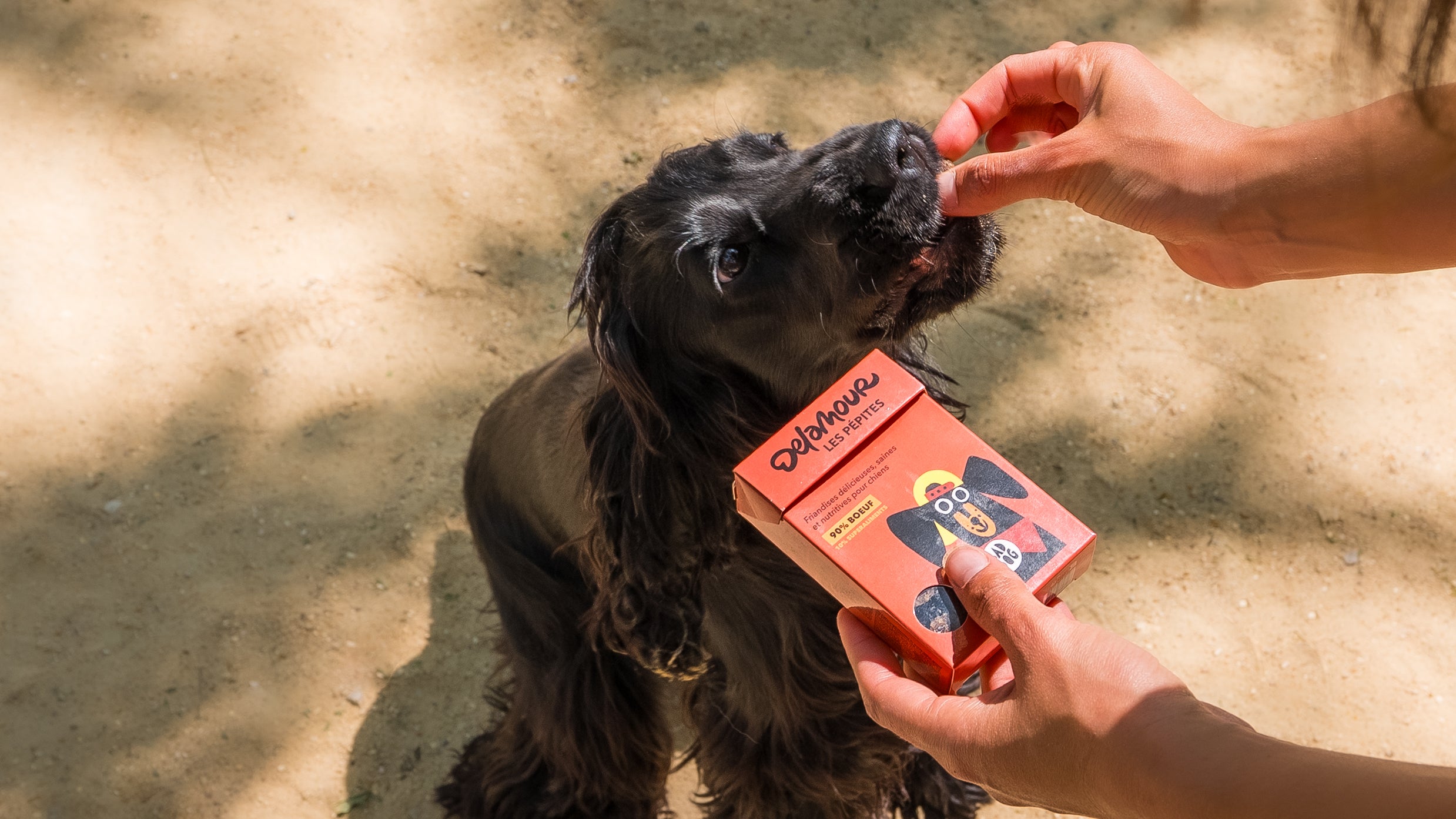 Les Pépites DELAMOUR - Boeuf