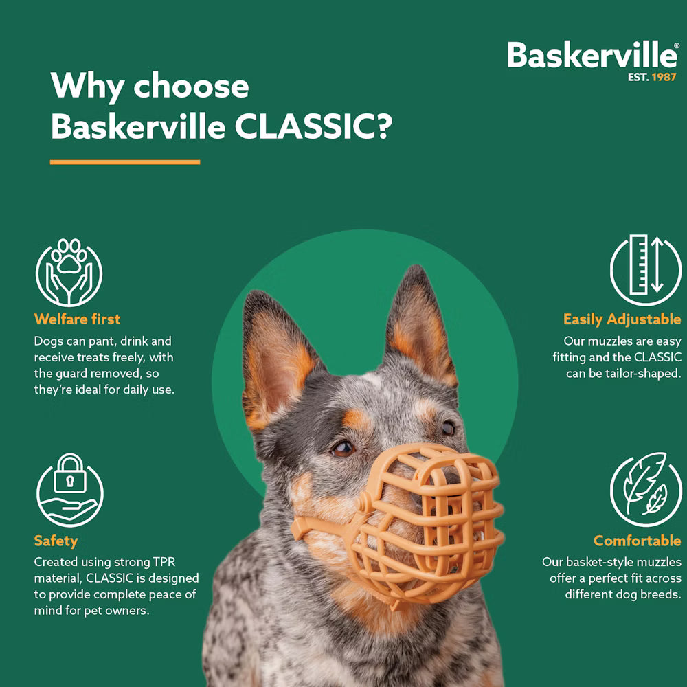 Baskerville — Muselière Classic Muzzle — Marron