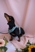 (Pré-commande)Harnais de confort pour chien Furlou – Bleu