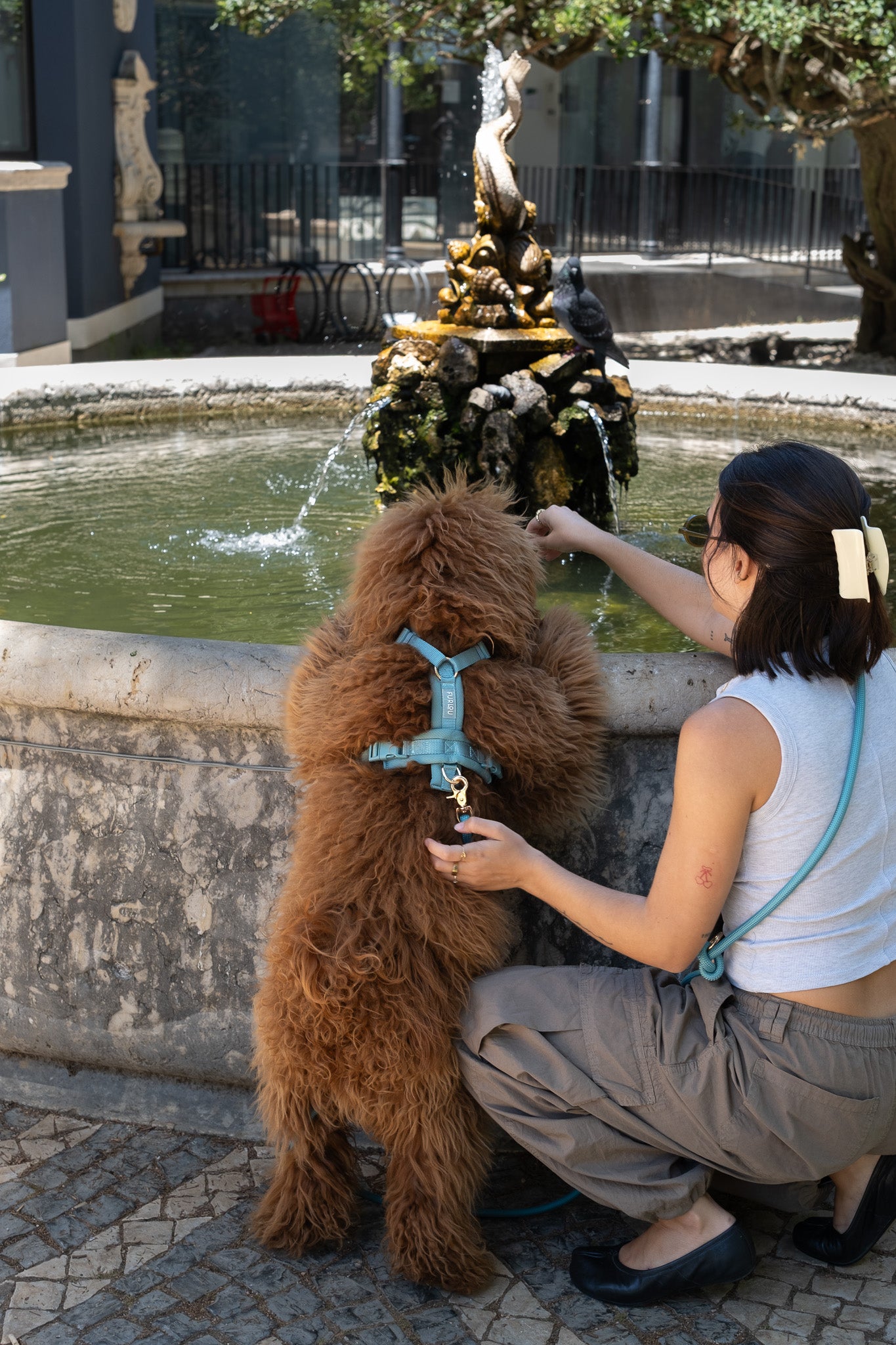 (Pré-commande)Harnais de confort pour chien Furlou – Bleu