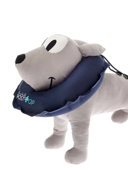 Collerette gonflable pour chien - Ferribiella PostOp