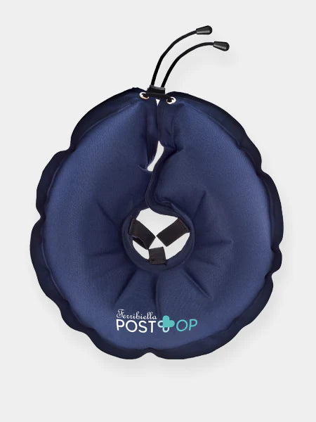 Collerette gonflable pour chien - Ferribiella PostOp