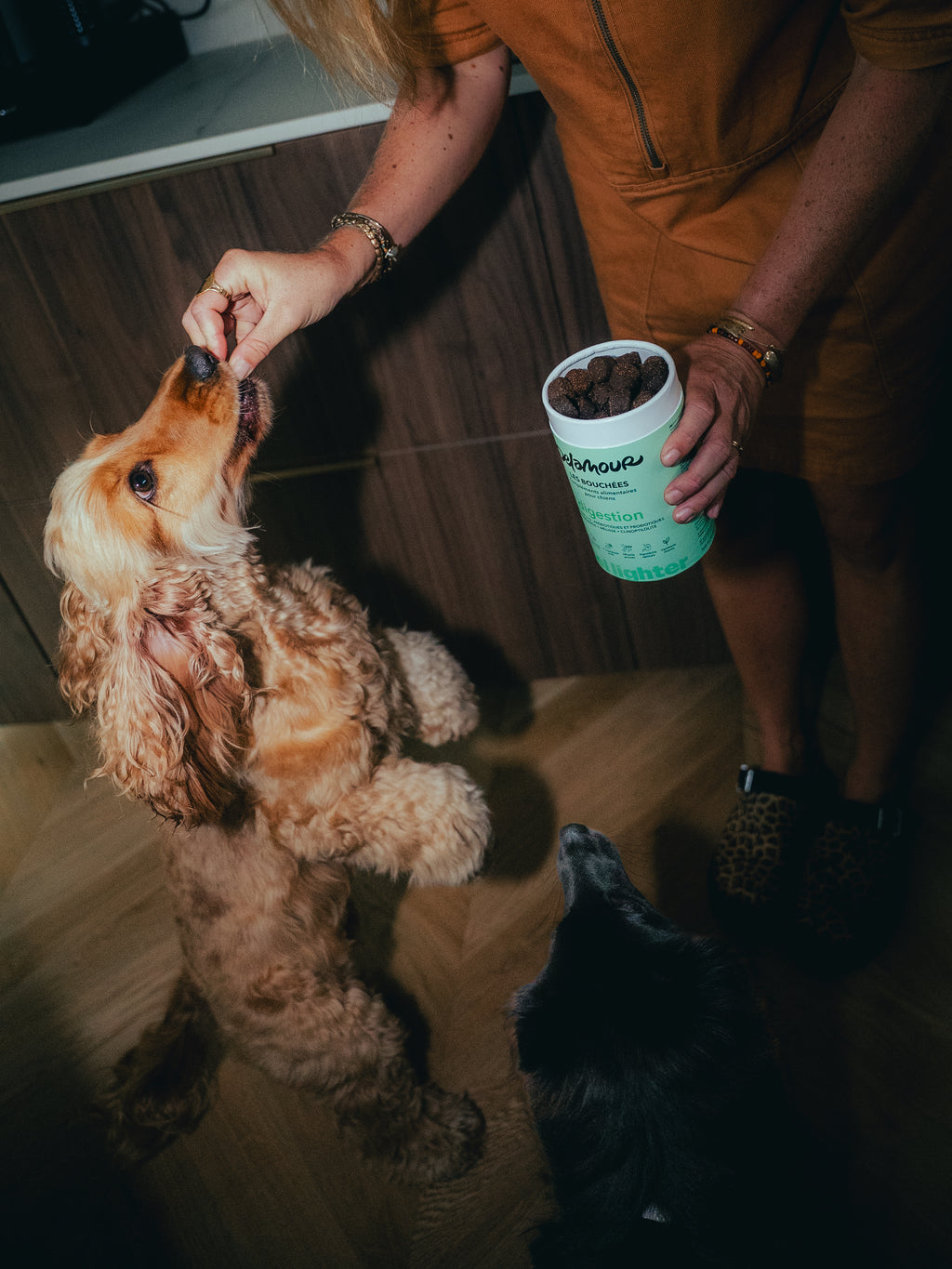 Les bouchées DELAMOUR - Digestion