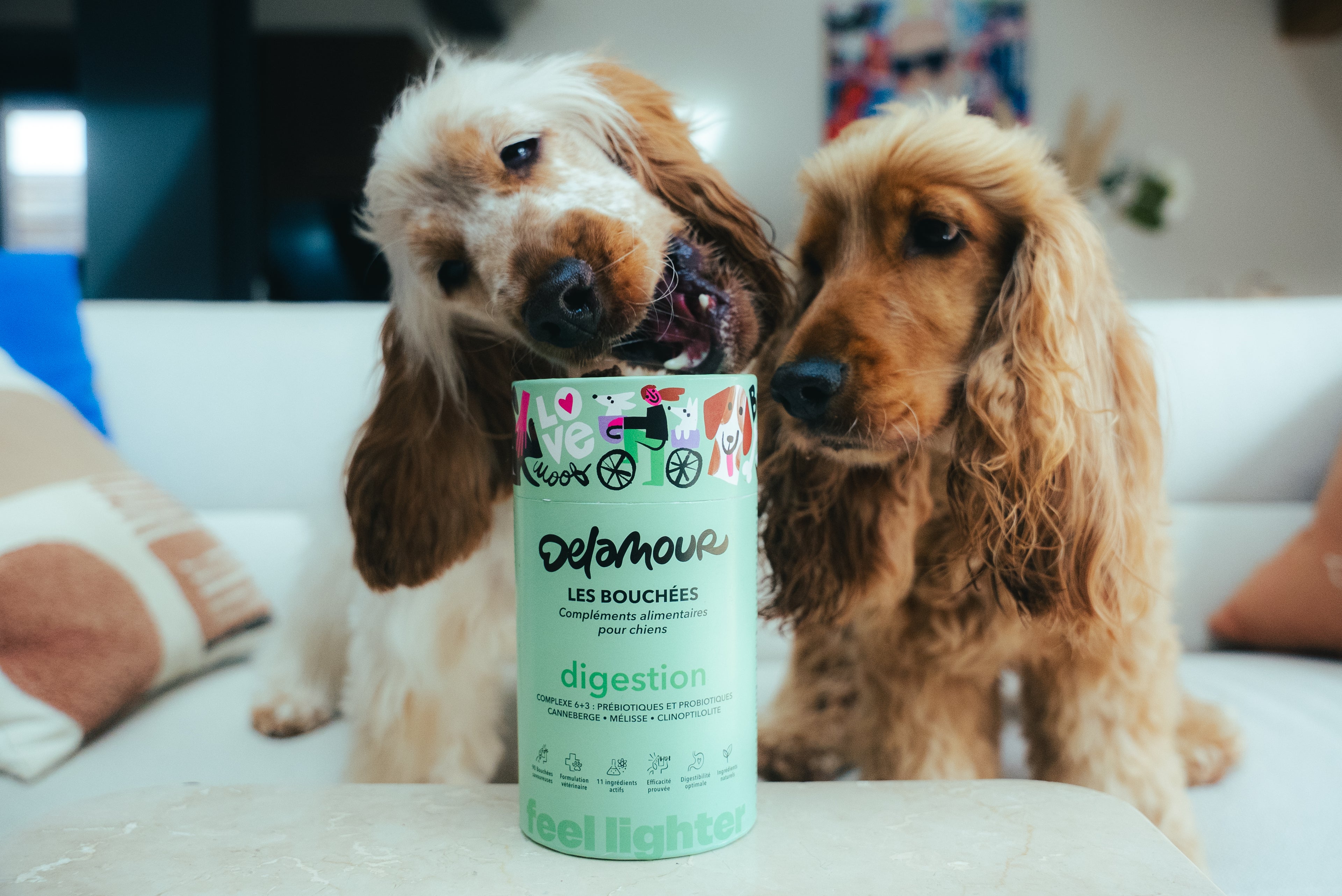 Les bouchées DELAMOUR - Digestion