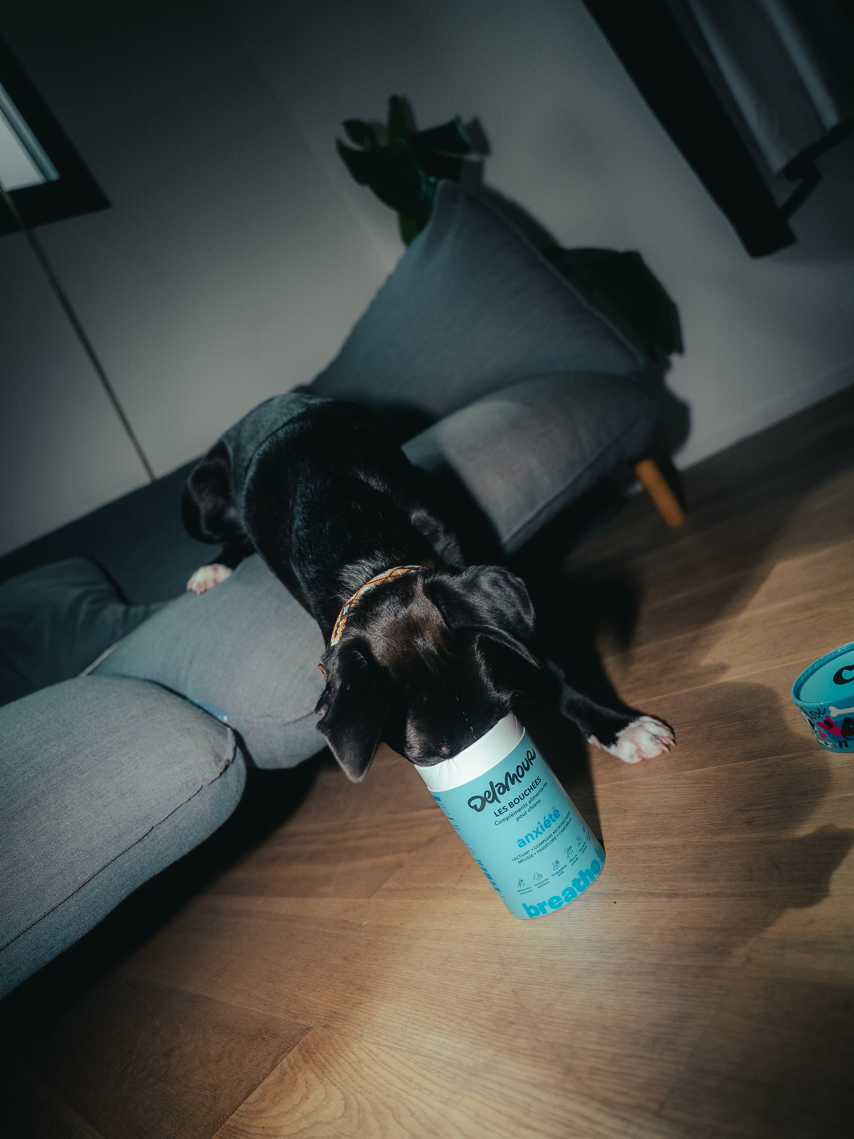 Les bouchées DELAMOUR - Anxiété