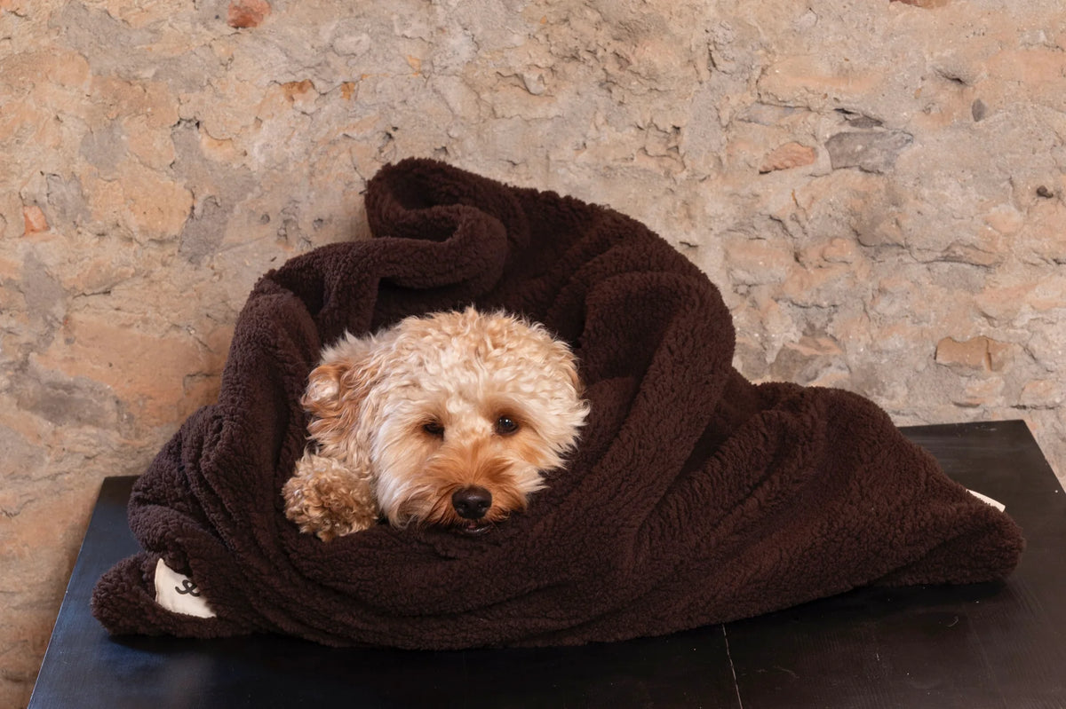 Sac de Couchage pour Chien & Chat en Fausse Fourrure Espresso